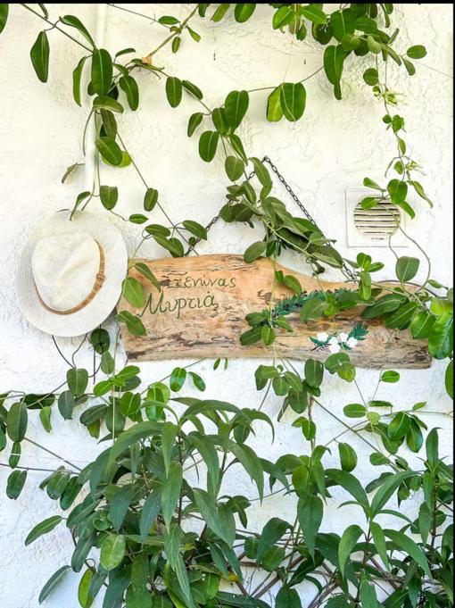 Myrtia - Cretan